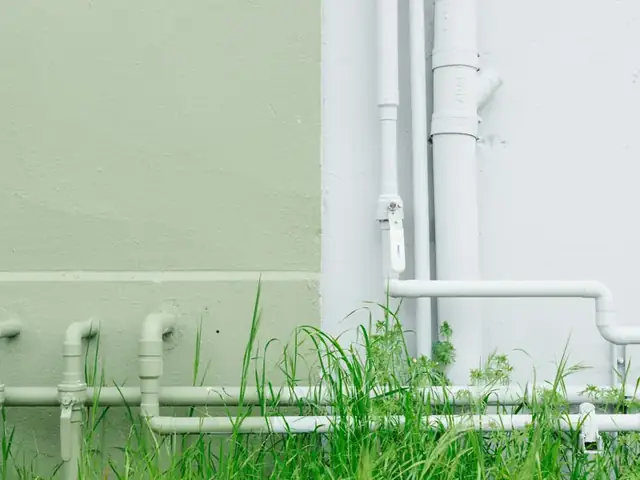 White water pipes running along a wall