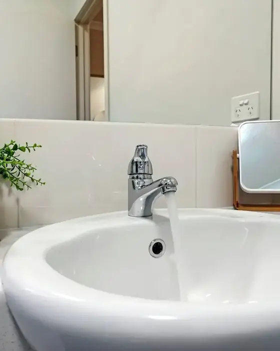 White basin with a chrome faucet and a potted plant